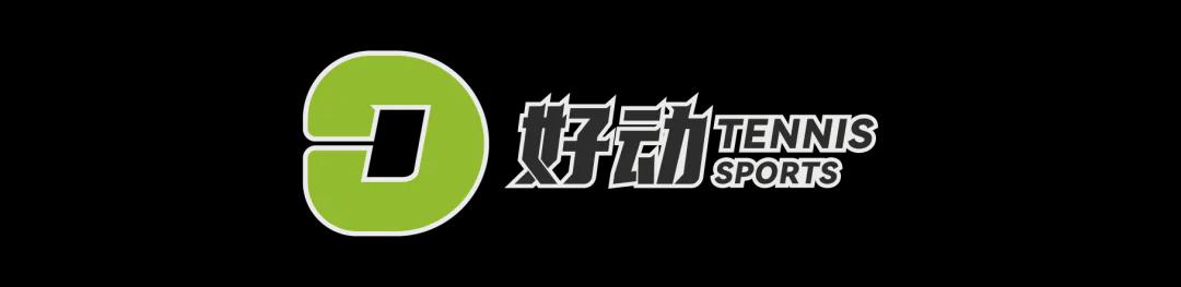 卡瑞战点球争议FIFA未公开证据